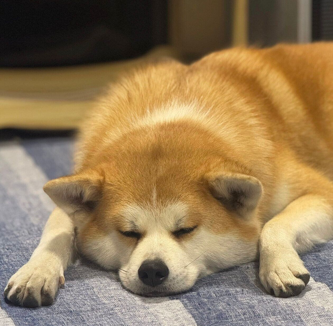 リラックスする来未ちゃん