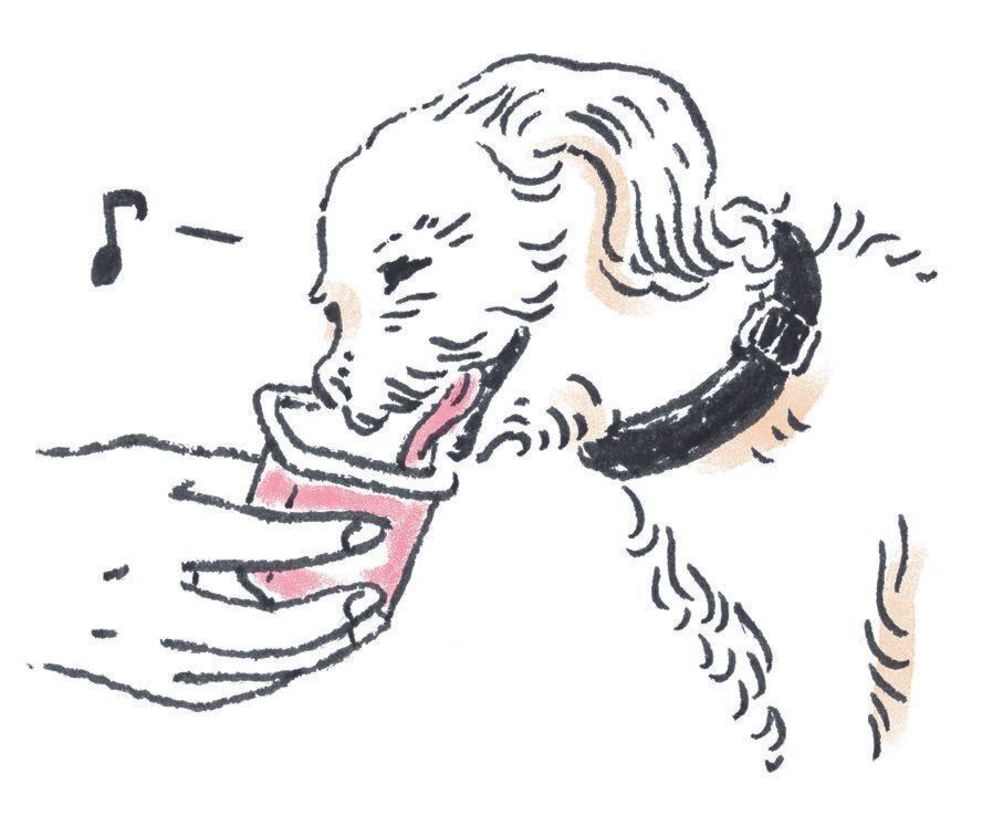 イラスト／naohiga