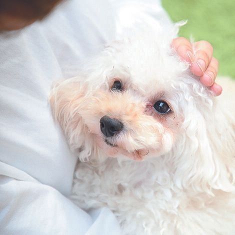 撮影／尾﨑たまき