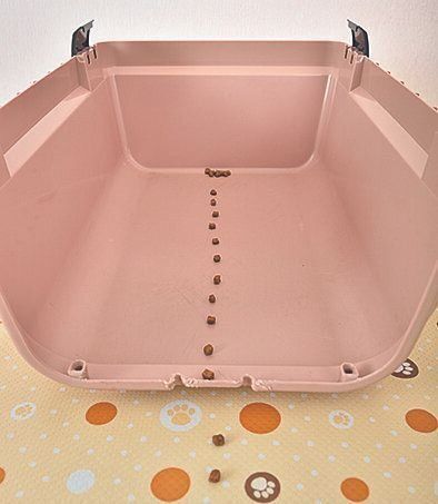 おやつルートで愛犬を誘導。※写真はわかりやすいように、クレートの上半分をはずした状態にしています