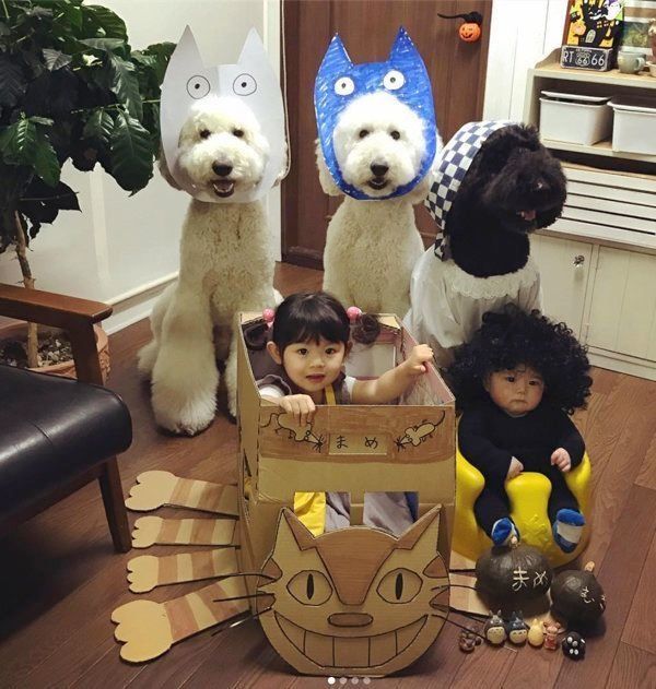 大集合するくぅさん・りっくん・がっくん・まめちゃん・むぎくん