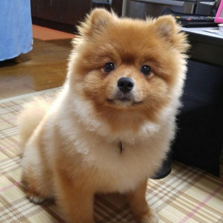 Zwumawpfobmsvm Zwumawpfobmsvm