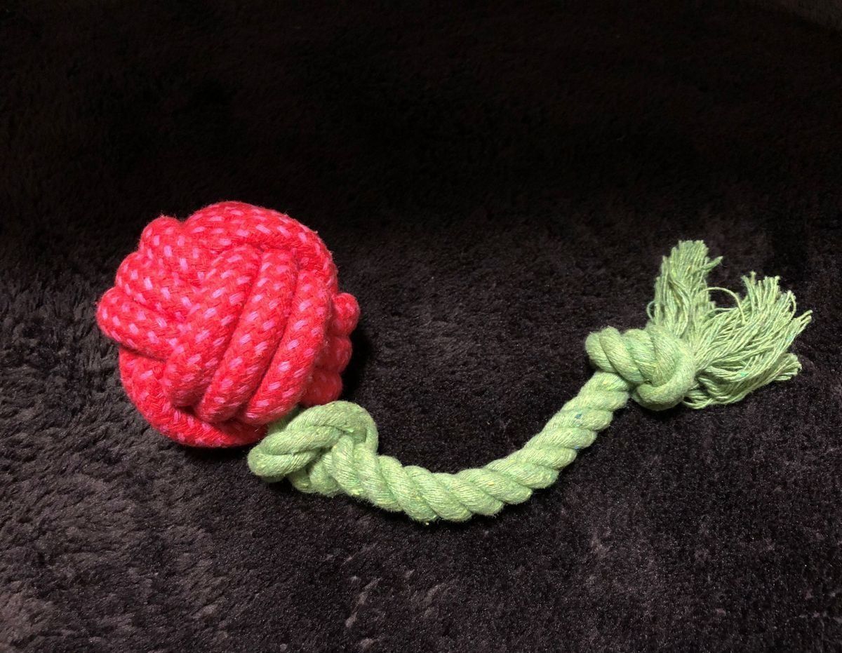 バラのロープトイ