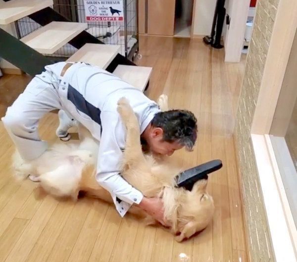 パパさんの帰宅を喜ぶアランくん