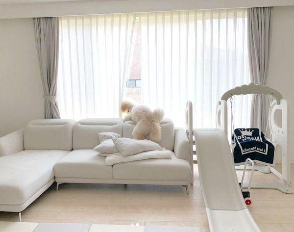 スタンダード・プードルのもずくちゃん