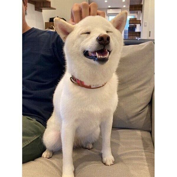 嬉しそうなゆきみちゃん