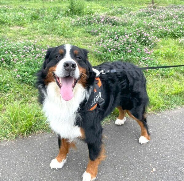 笑顔のココちゃん