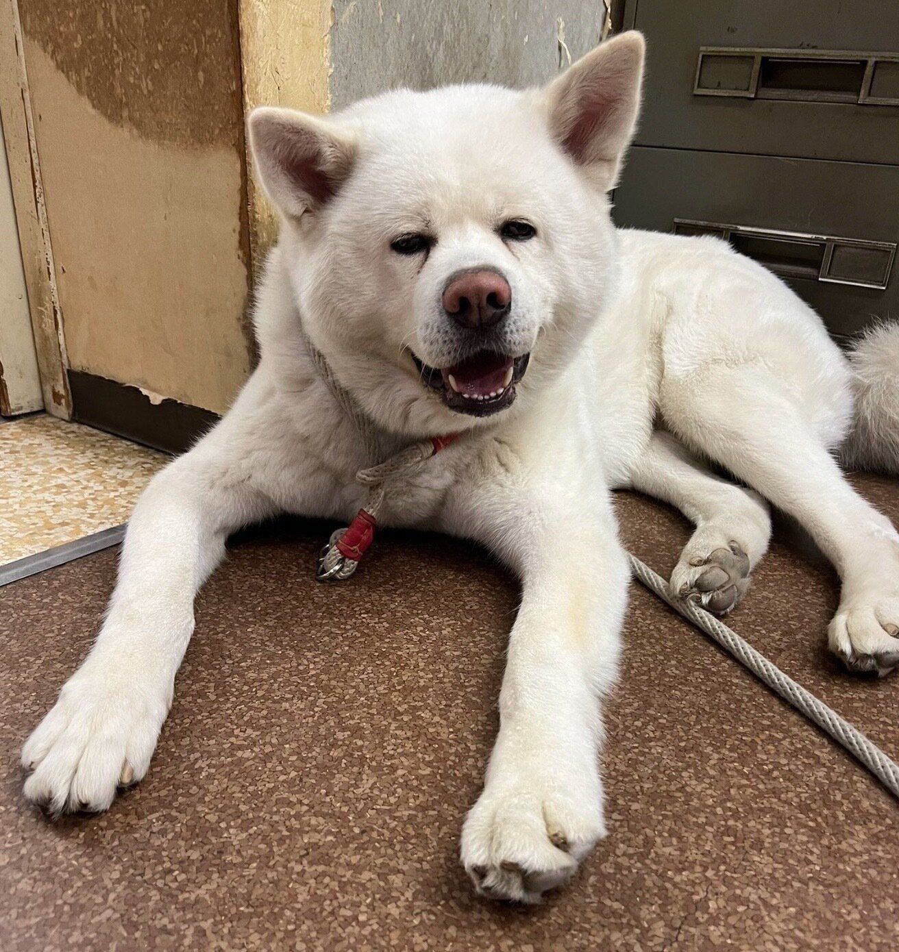 笑顔が可愛い心くん