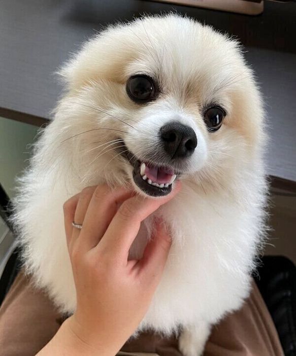 嬉しそうなちくわくん