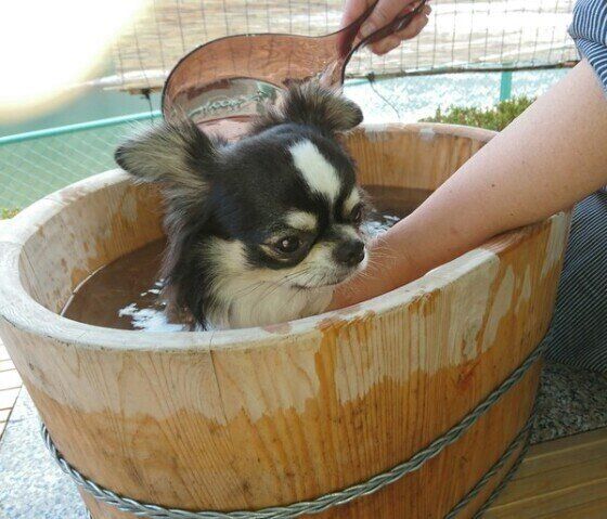 気持ちよさそうにお湯につかる琥太朗くん
