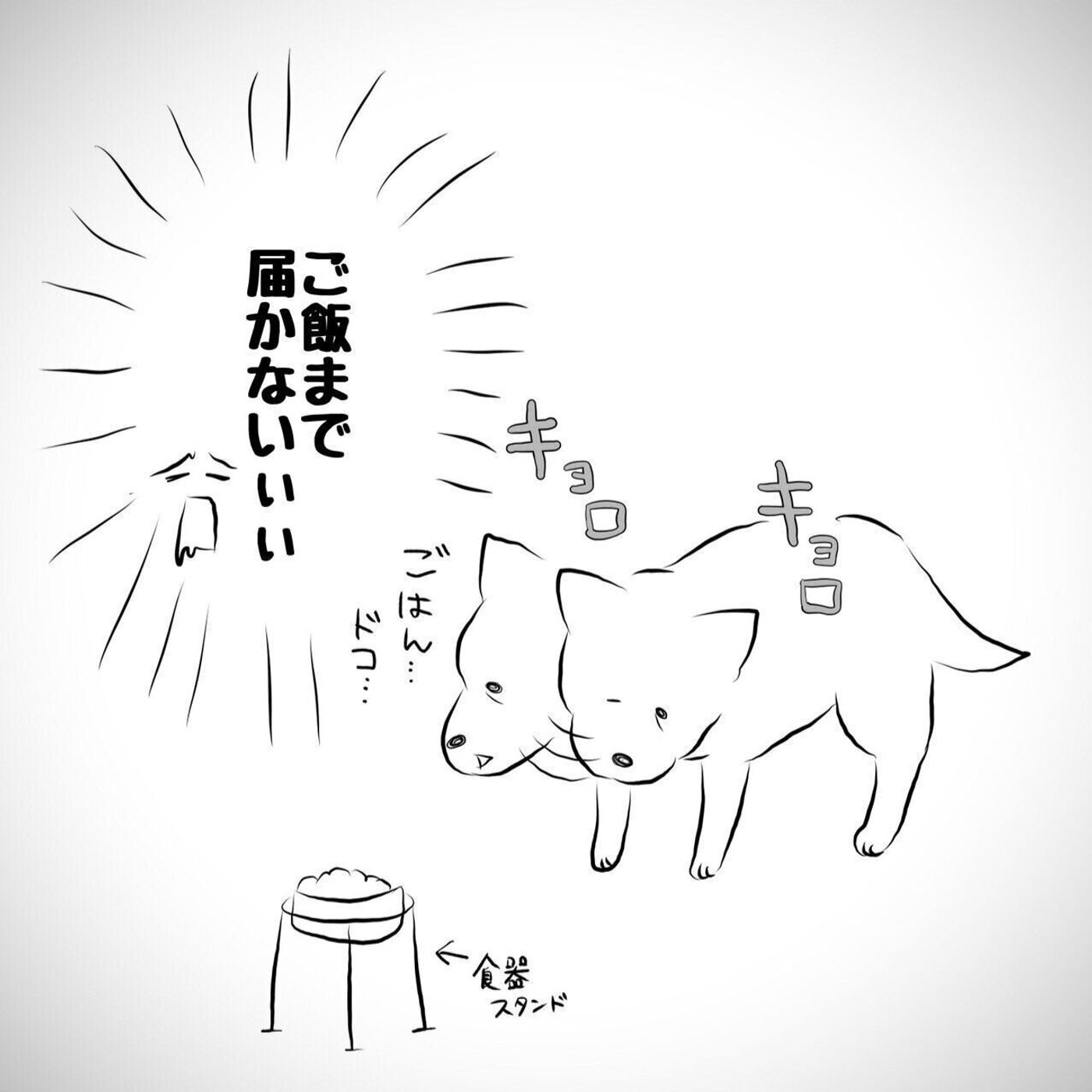ごはんを食べる咀嚼音さえ愛おしい 連載 おばあちゃん犬がやってきた第84回 いぬのきもちweb Magazine ごはんを食べる咀嚼音さえ愛おしい 連載 おばあちゃん犬がやってきた第84回 いぬのきもちweb Magazine