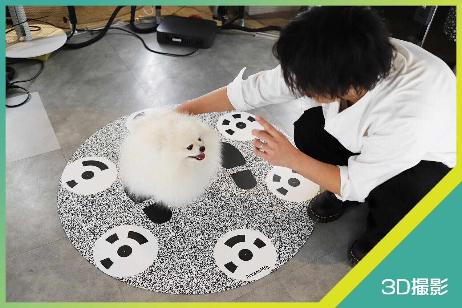 カメラに囲まれたブースの真ん中で“おすわり”をするぽめ太くん