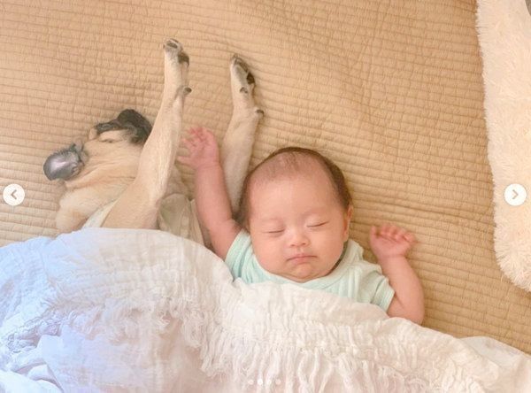 添い寝するパグと妹ちゃん