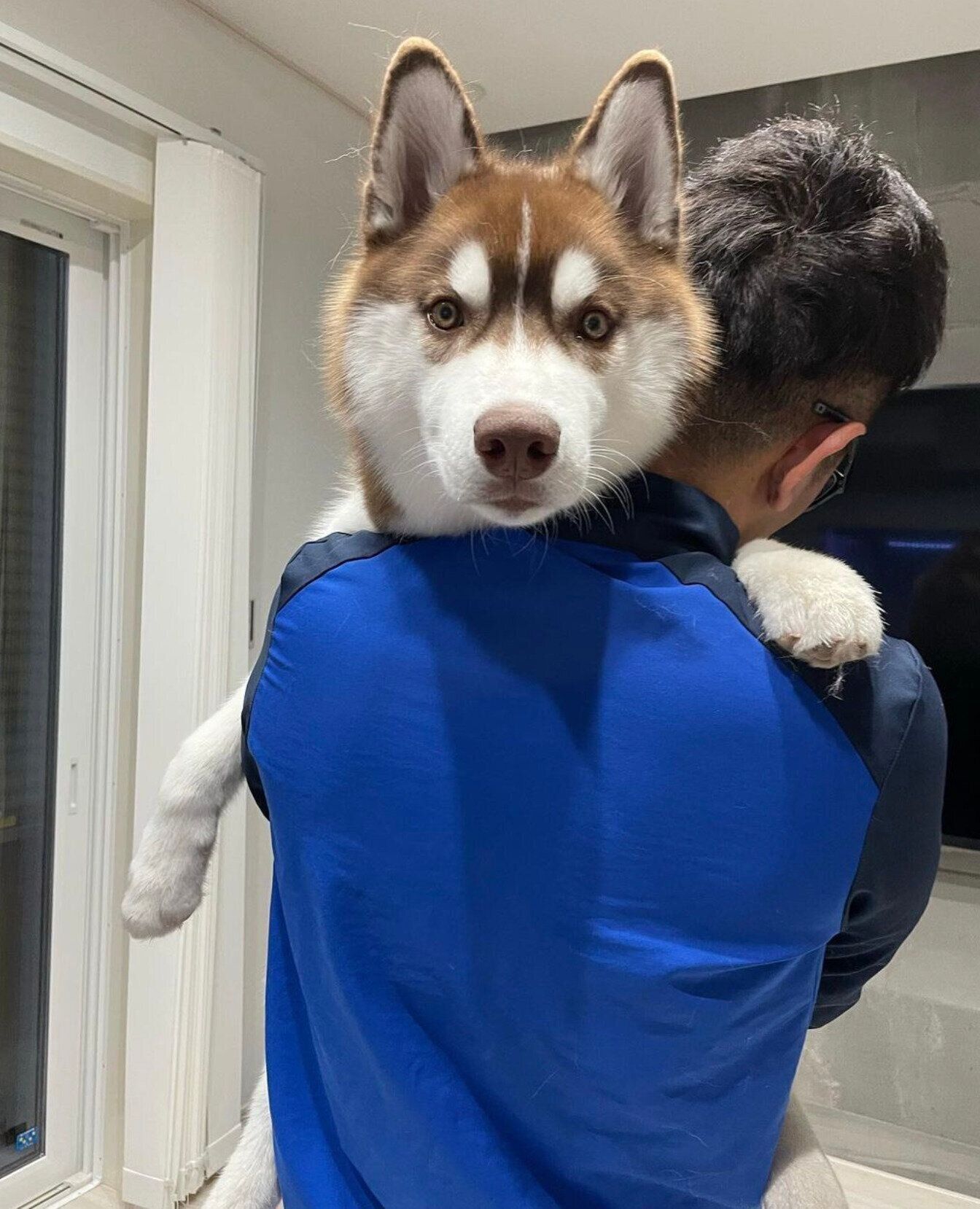 抱っこされるのが好きなるいくん