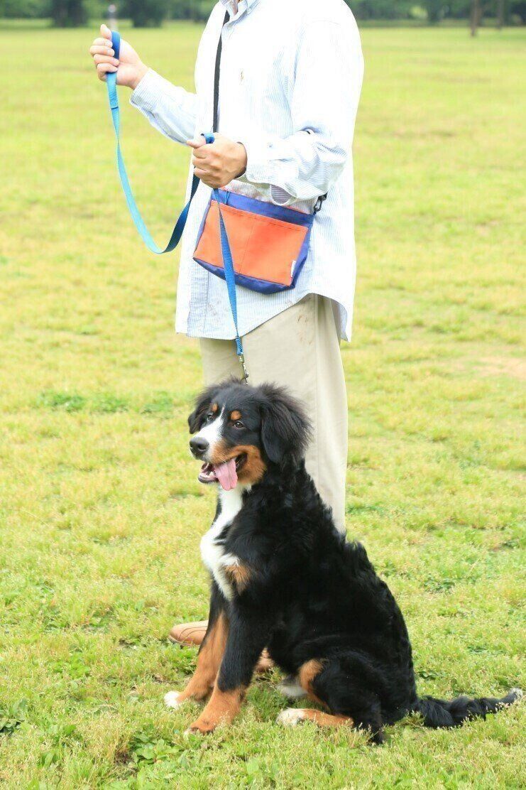 撮影／尾﨑たまき