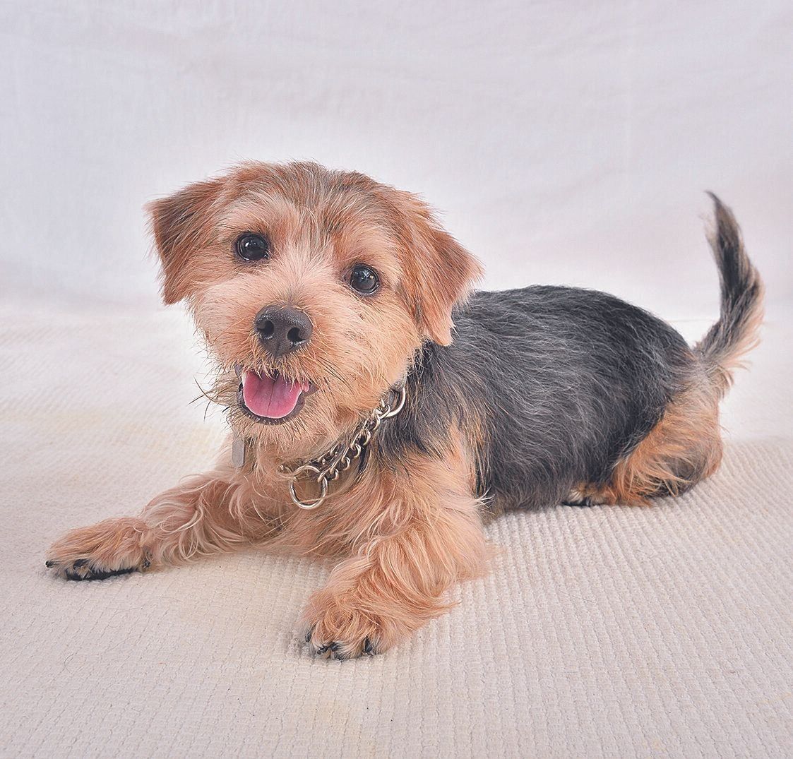 撮影／佐藤正之