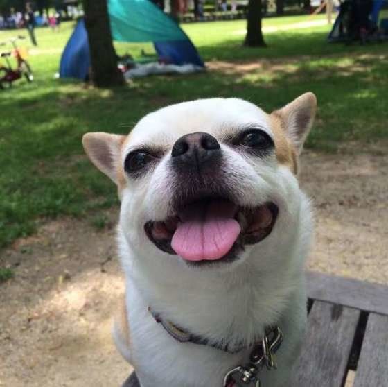 なんだか嬉しそうだね♪