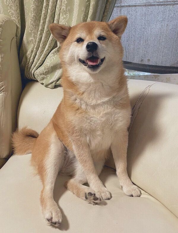 笑顔が可愛いエマちゃん