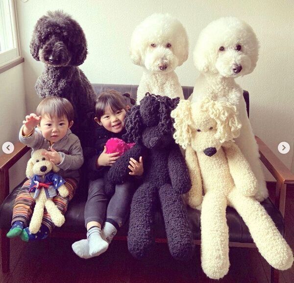 スタンプー3兄弟、女の子・まめちゃん、男の子・むぎくん