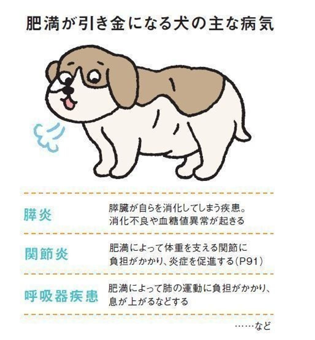 愛犬の肥満と適切なエネルギー量の関係 原因 チェック方法 対策 いぬのきもちweb Magazine 愛犬の肥満と適切なエネルギー量の関係 原因 チェック方法 対策 いぬのきもちweb Magazine