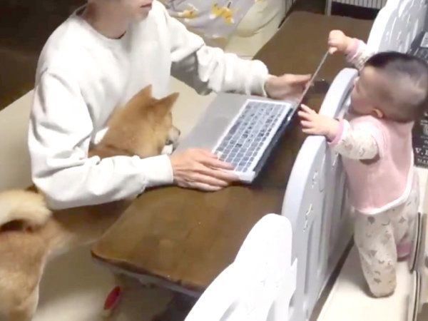 在宅ワークをするパパさんに寄り添うりんご郎くん