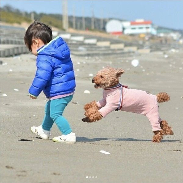 ワンコと子ども