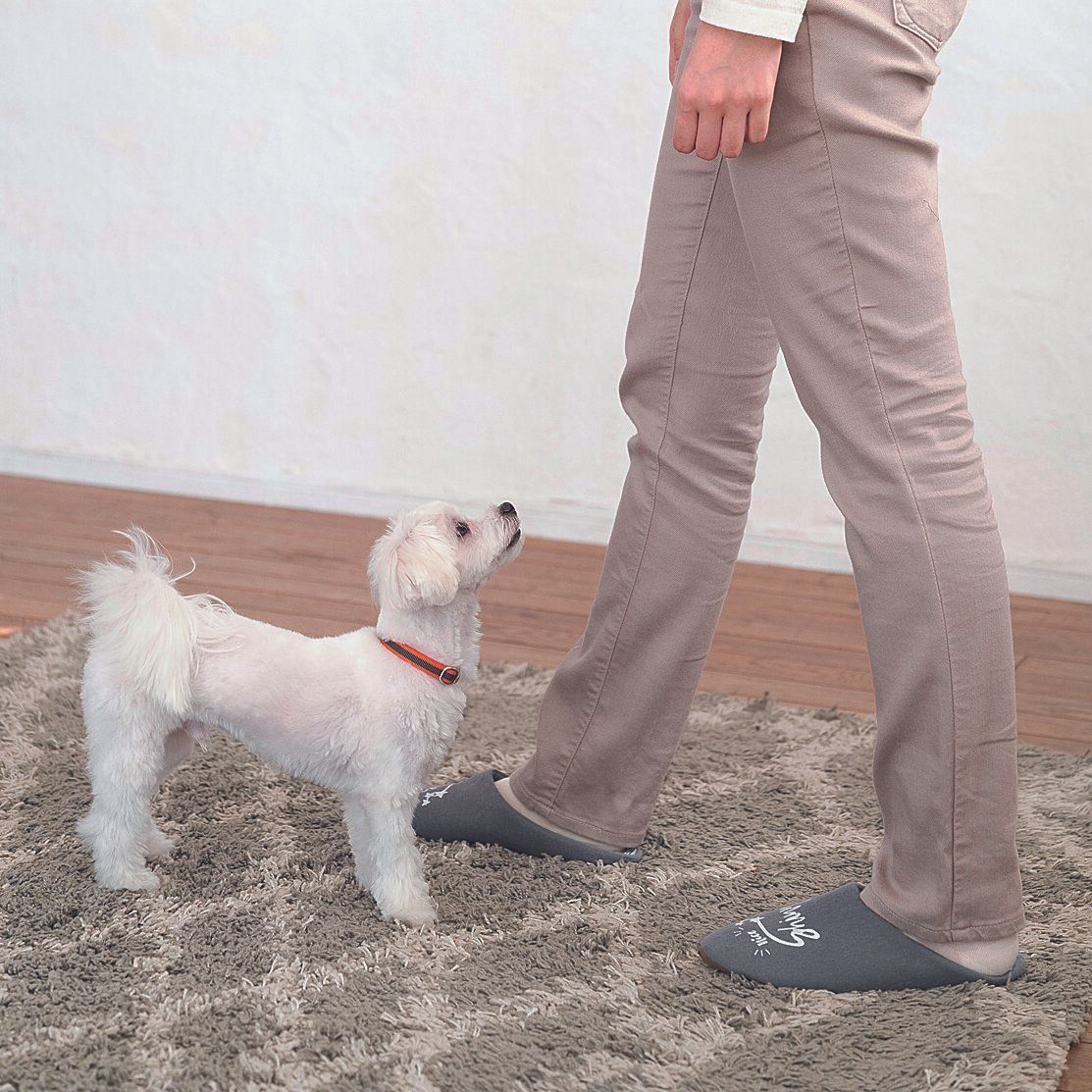 飛びつかれたら後ろに下がり、愛犬の足がつくまでかまわない