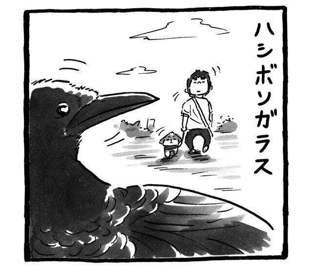 シーズー犬マンガてんぽshihtzu