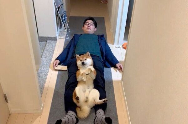 散歩帰宅後に、すぐに廊下でくつろぐこむぎくんとパパさん