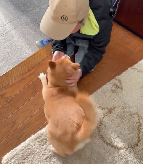 帰宅した息子さんを歓迎するマメちゃん