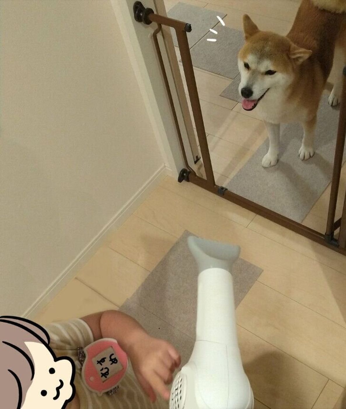 雨に濡れた柴犬タロさん ドライヤーに興味を示すも もういいです と断念 連載 モフモフ柴とプニプニ娘 第話 いぬのきもちweb Magazine 雨に濡れた柴犬タロさん ドライヤーに興味を示すも もういいです と断念 連載 モフモフ柴とプニプニ娘 第話 いぬのきもちweb Magazine