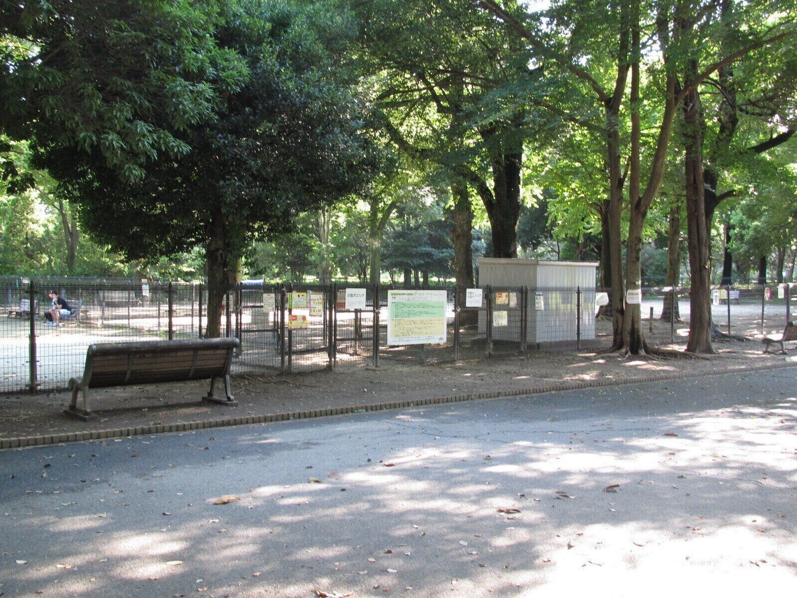 たくさんの木に囲まれたドッグラン