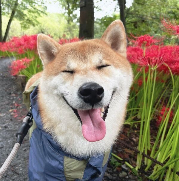 笑顔が可愛い栗太郎くん