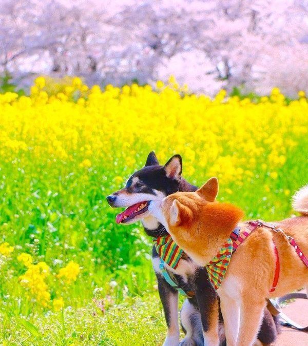 寄り添うゆりあちゃんとけんしろうくん