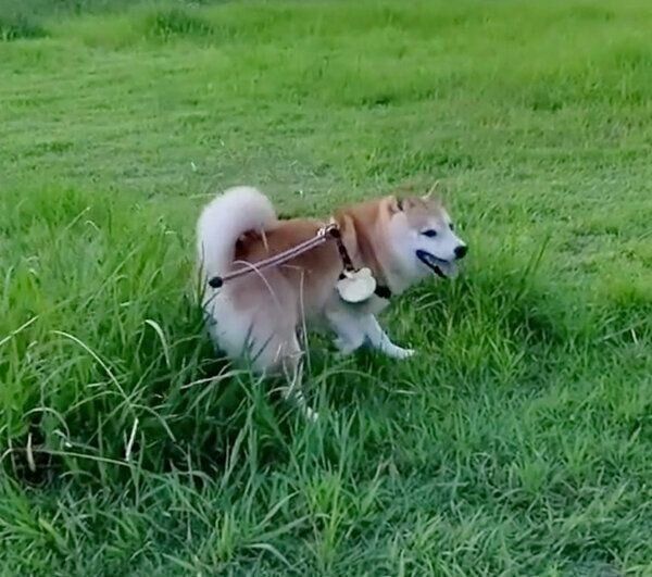 カメラ目線でキックする福来くん