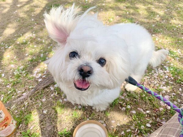 笑顔が可愛いわむうくん