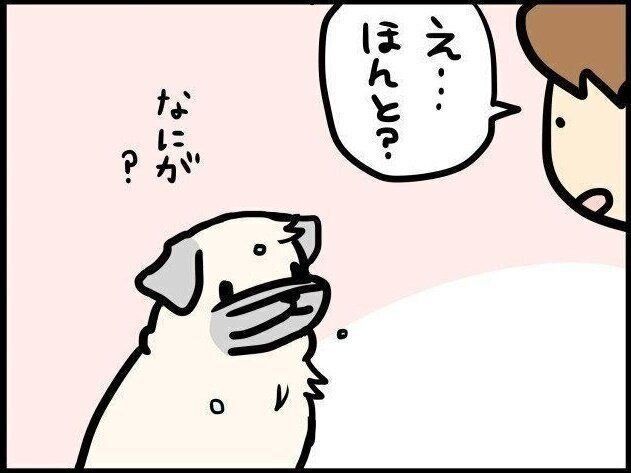 【連載】パグ犬めー vol.92
