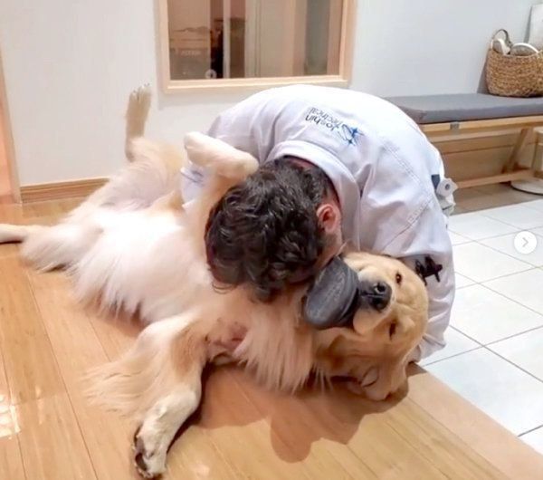 おなかを出して飼い主さんを出迎えるアランくん