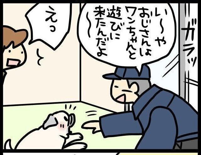 いぬのきもちWEB MAGAZINE『電気工事のおじさんに遊んでほしくてうずうず…大歓迎なパグ犬|連載「パグ犬・めー」vol.90』