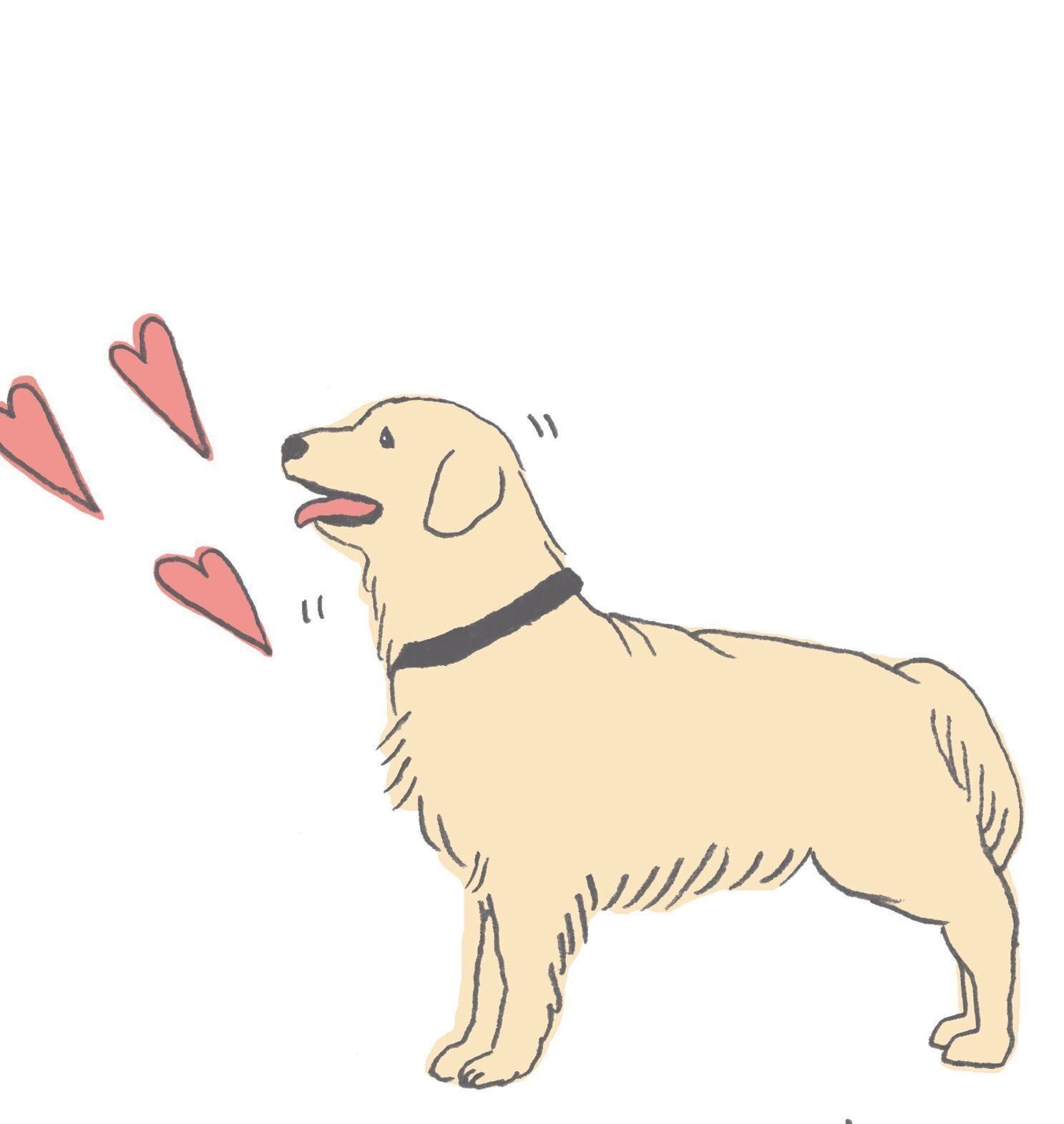 イラスト／船越谷 香