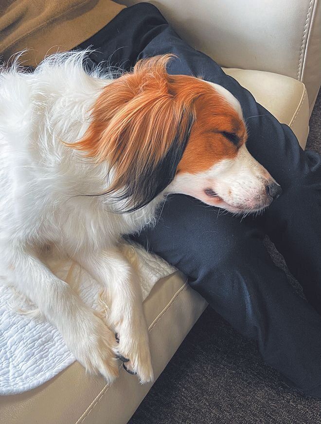 写真提供／Y.T.さん