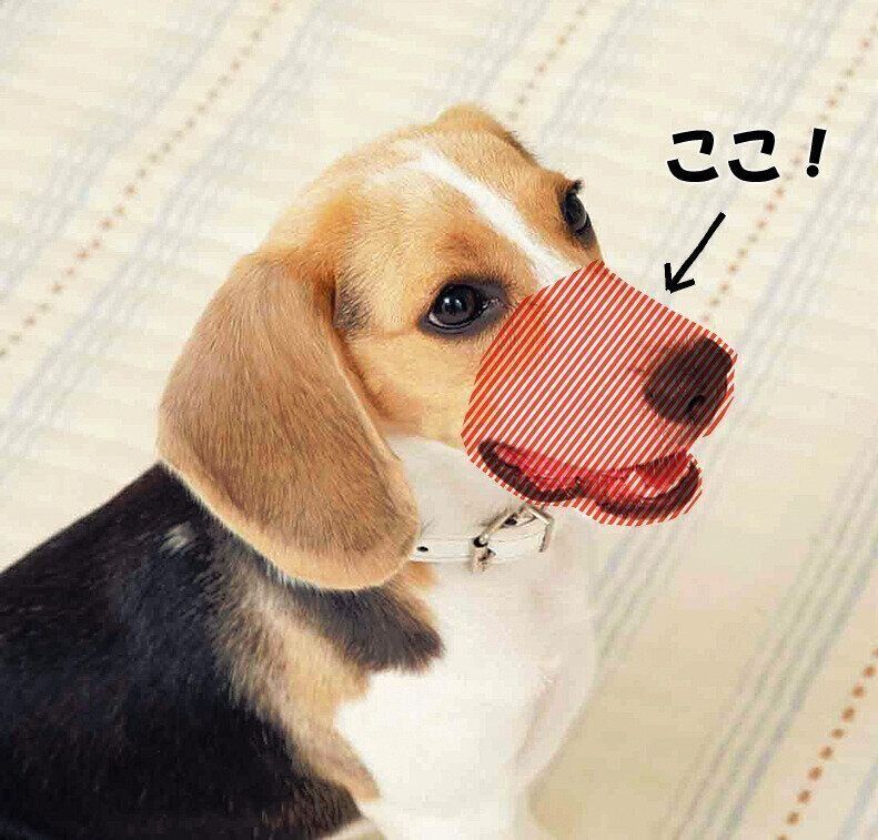 画像の斜線部分のことです