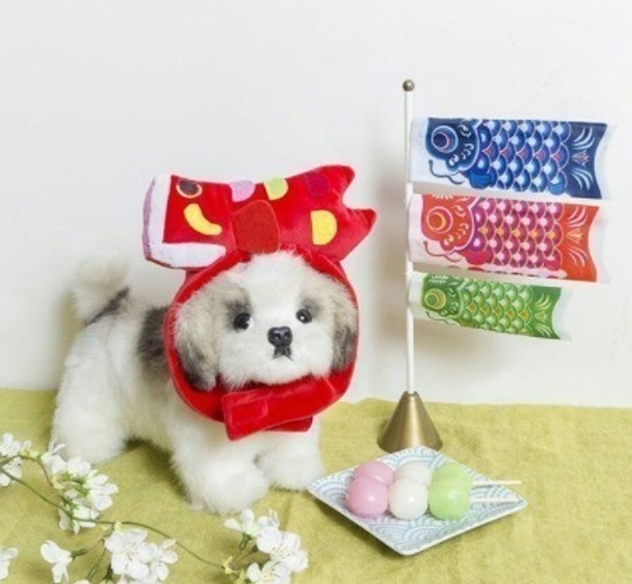 男子犬の飼い主さん必見 3コインズの愛犬用かぶり物が可愛すぎる ノ S いぬのきもちweb Magazine