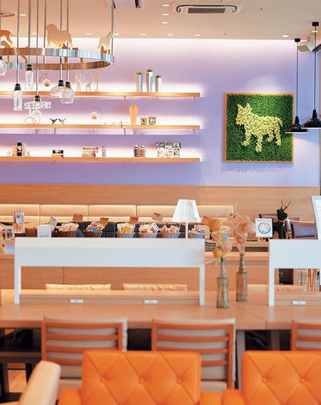 写真／吉田篤史