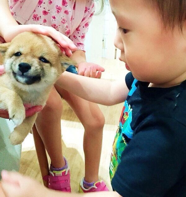 子犬時代のマメちゃん