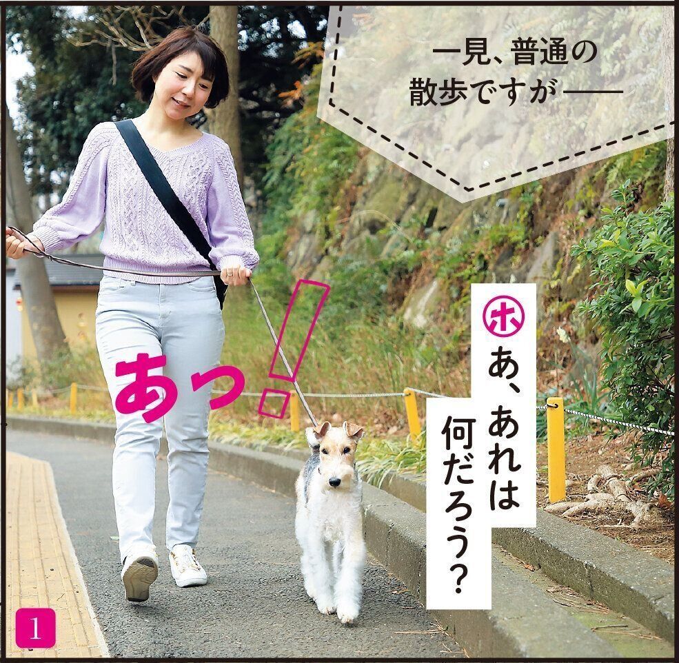 撮影／尾﨑たまき