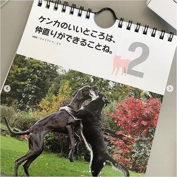 ワンコの日めくりカレンダー