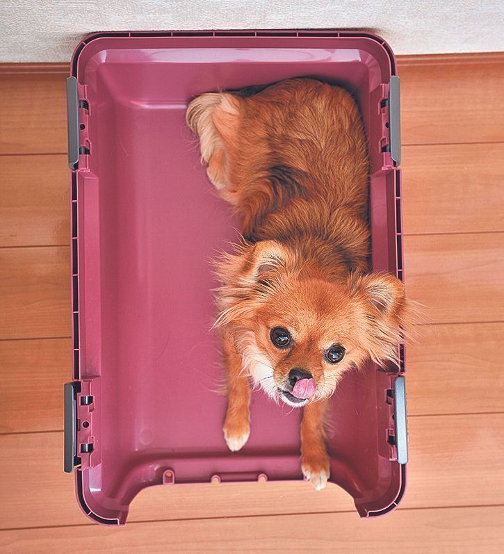 ※写真はわかりやすいように、クレートの上半分をはずした状態にしています