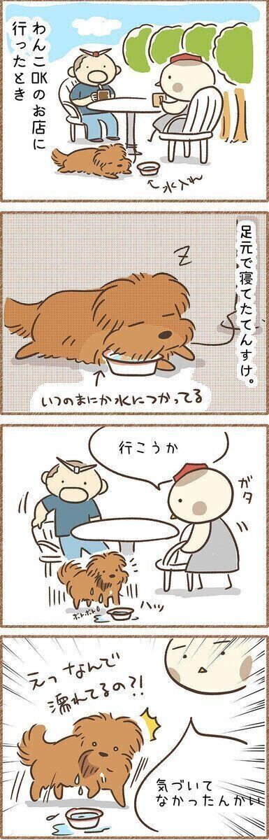 連載「こぐま犬てんすけ」