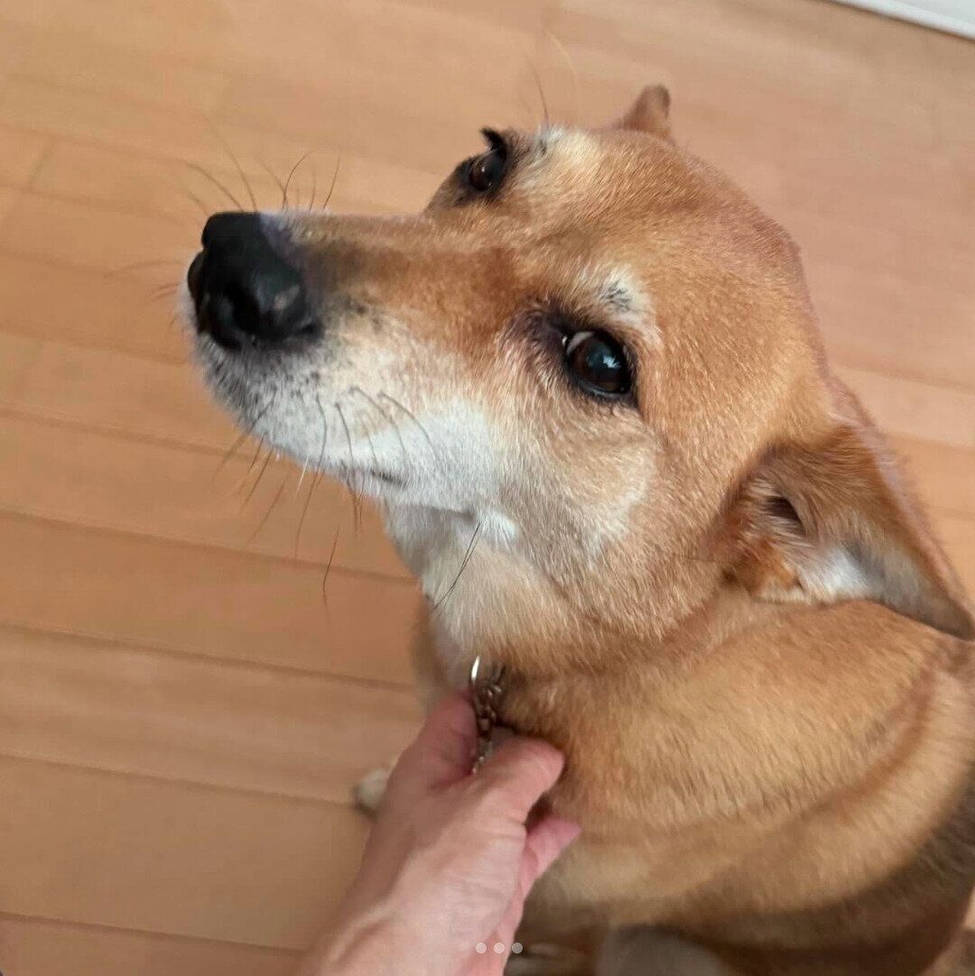 甘える柚ちゃん